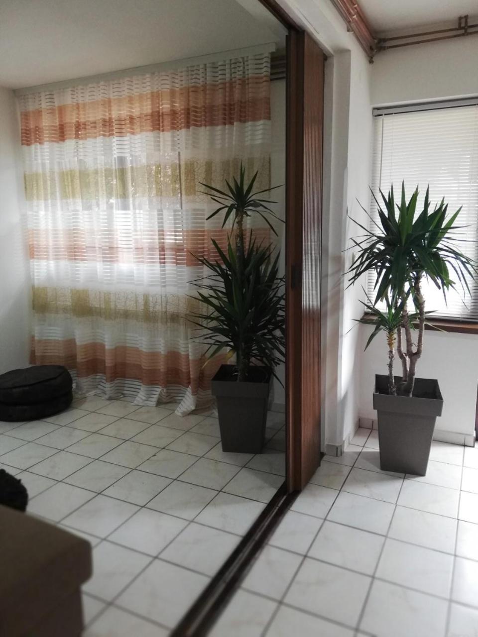 Fast Sleep & Go 1 Apartment Paraćin Exterior foto